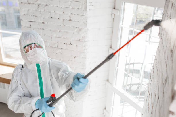 Best Residential Mold Inspection & Testing  in Polkton, NC