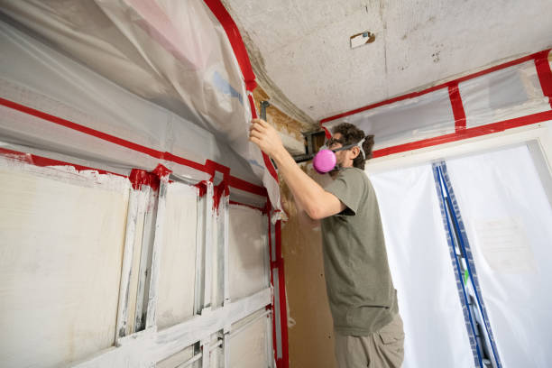 Best Industrial Mold Remediation  in Polkton, NC