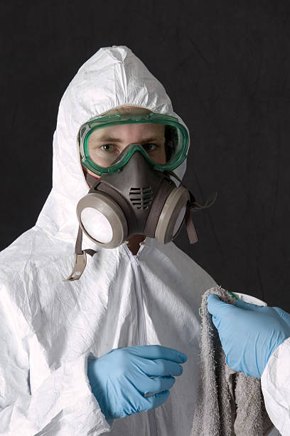 Best Black Mold Removal  in Polkton, NC